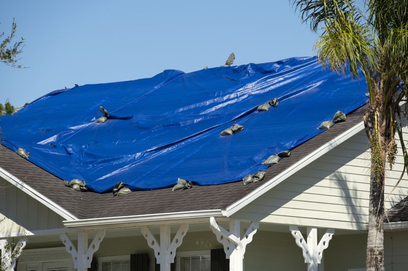 Emergency Roof Protection
