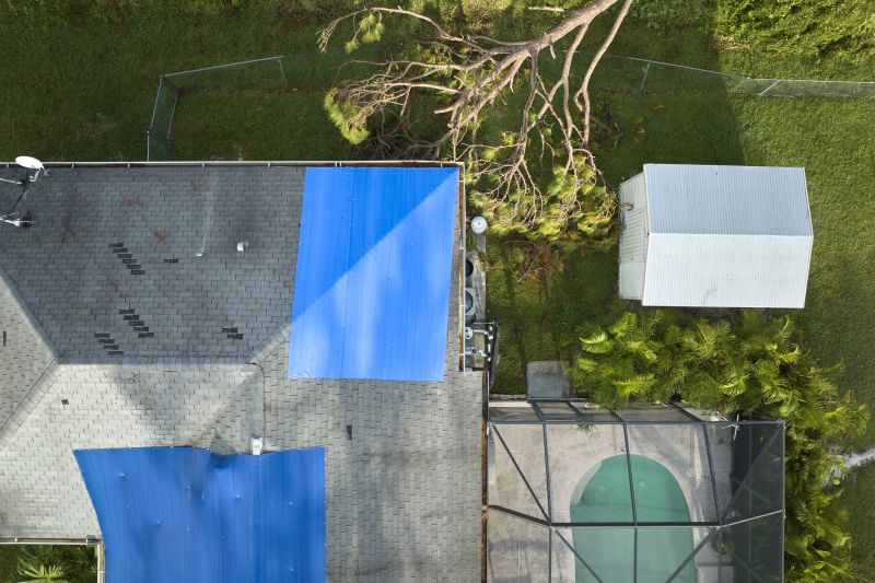 Emergency Roof Protection