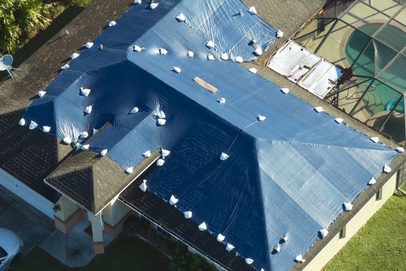 Emergency Roof Protection